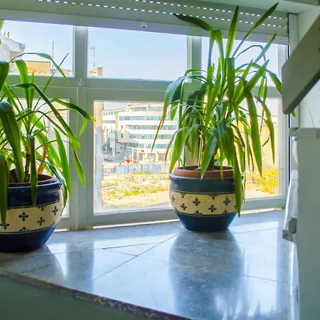 Maestro Duplex Istarska