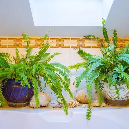 Appartement Maestro Istarska *