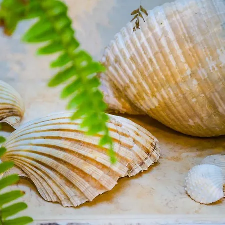 Maestro Istarska Appartement Split