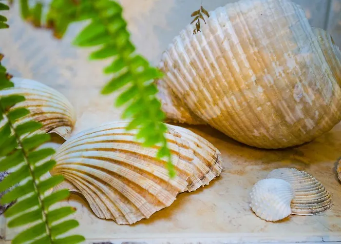 Maestro Duplex Istarska Apartamento Split