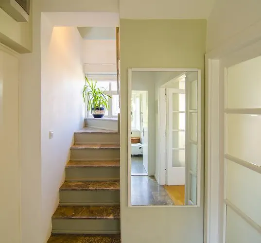 Maestro Duplex Istarska